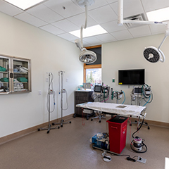 Surgical Room