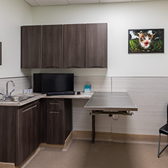 Exam Room