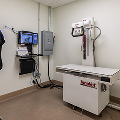 Xray and exam table